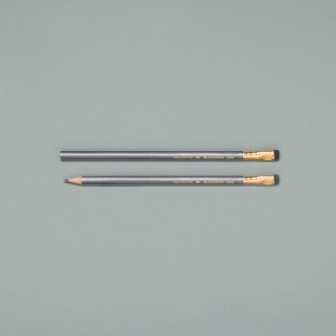 grauer Blackwing Bleistift von Palomino einzeln